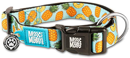 *MAX&MOLLY Smart ID Dog Collar Sweet Pineapple XS 9-14"