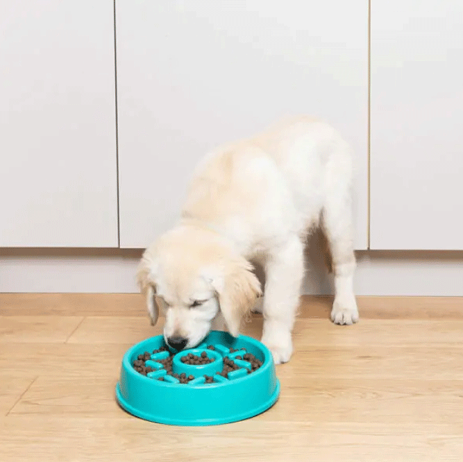 ZIPPYPAWS Happy Bowls Donut