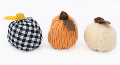 ZIPPYPAWS Halloween Miniz Gourds 3pk