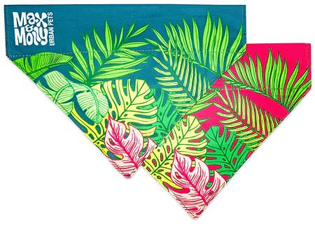 *MAX&MOLLY Bandana Tropical XS/S