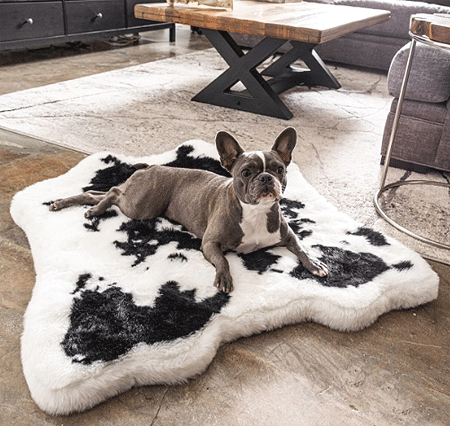 PAW PupRug Animal Print Memory Foam Dog Bed Black Faux Cowhide Junior