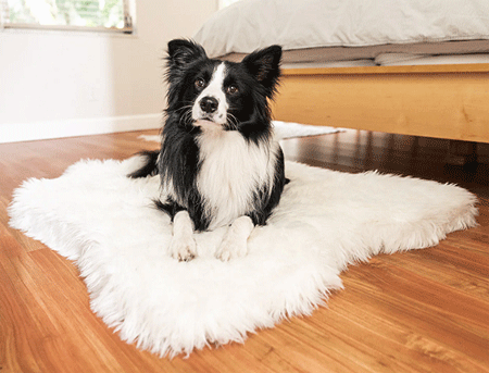 *PAW PupRug Animal Print Memory Foam Dog Bed Polar White Junior