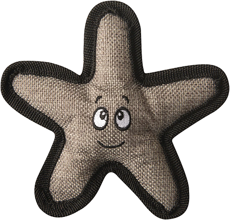 SNUGAROOZ Baby Sophie The Starfish 5"