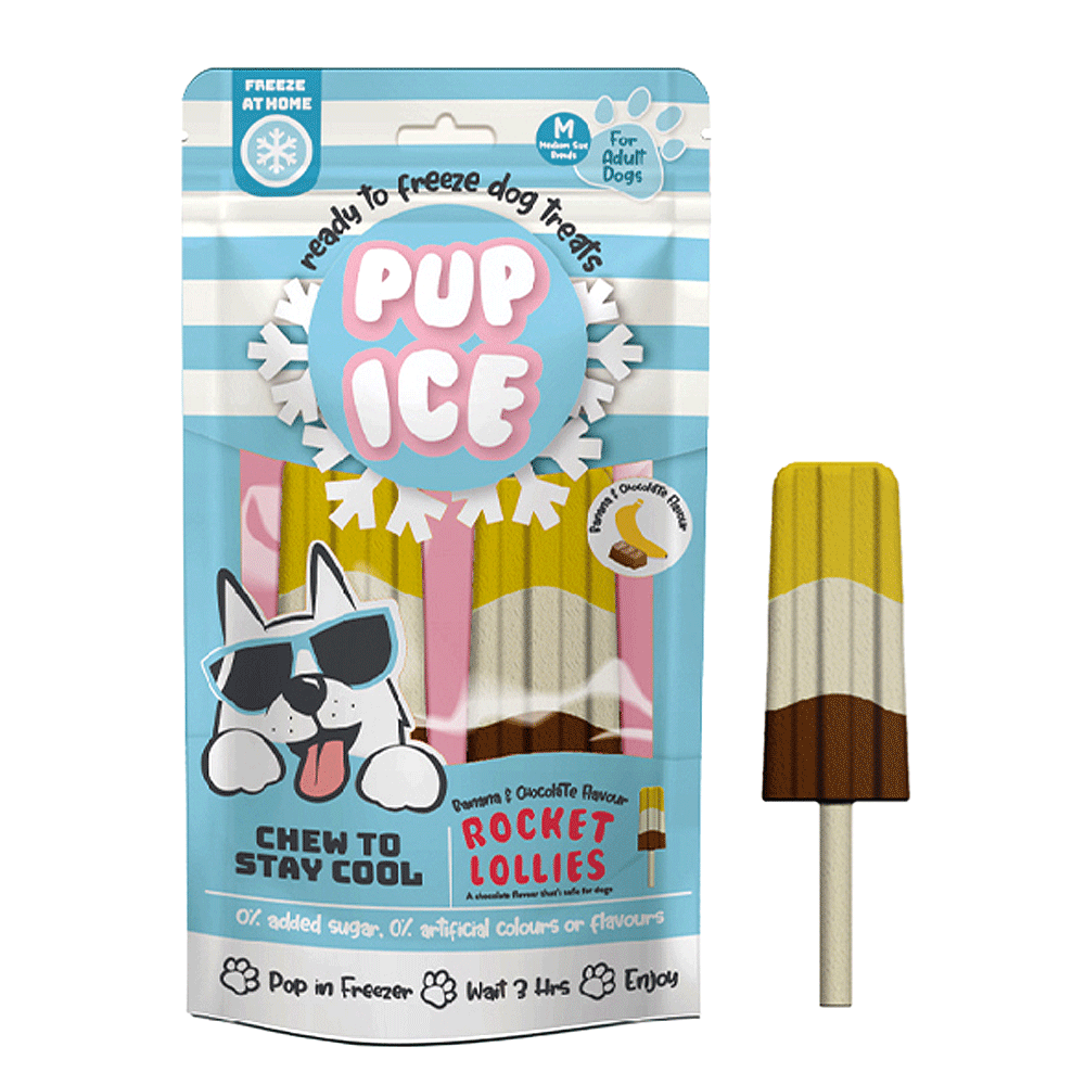 ETHICAL/SPOT Pup Ice Rocket Lollies Banana and Chocolate