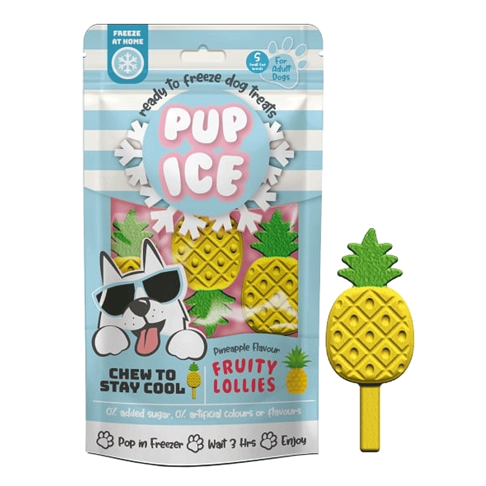 ETHICAL/SPOT Pup Ice Fruity Lollies Pineapple