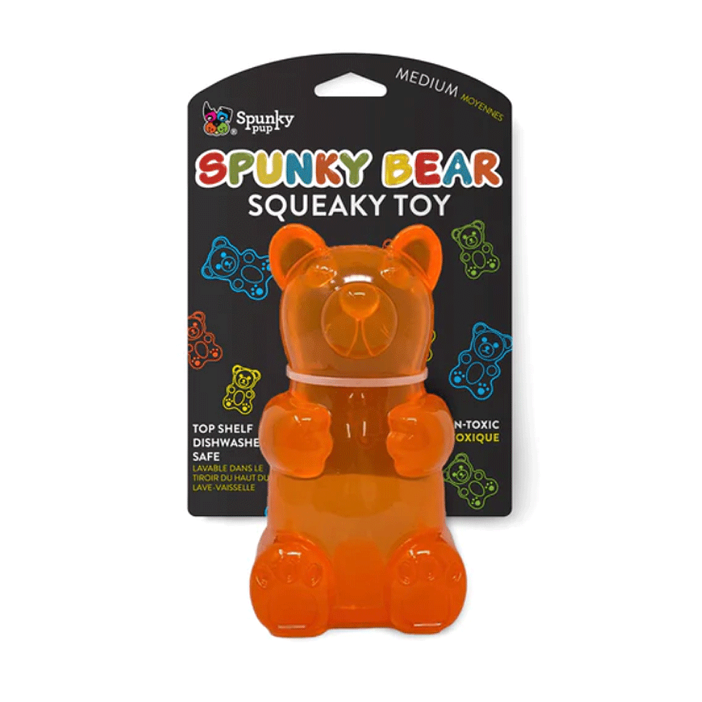 SPUNKY PUP Spunky Bear Squeaky Toy M