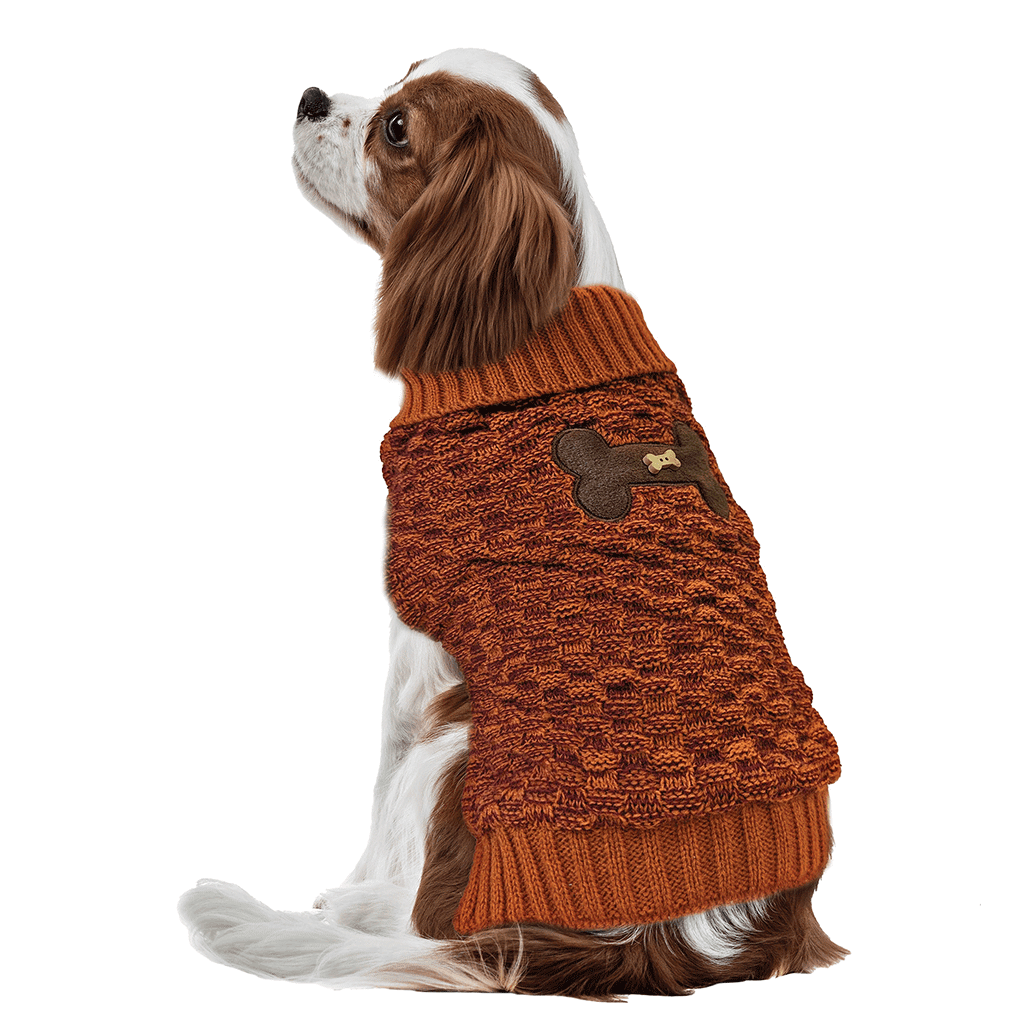 FASHION PET Bone Accent Sweater Orange XS