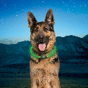 NITE IZE NiteHowl LED Safety Necklace Rechargeable Green