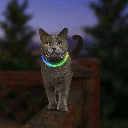 NITE IZE NiteMeow LED Safety Cat Necklace Rechargeable Disc-O Select