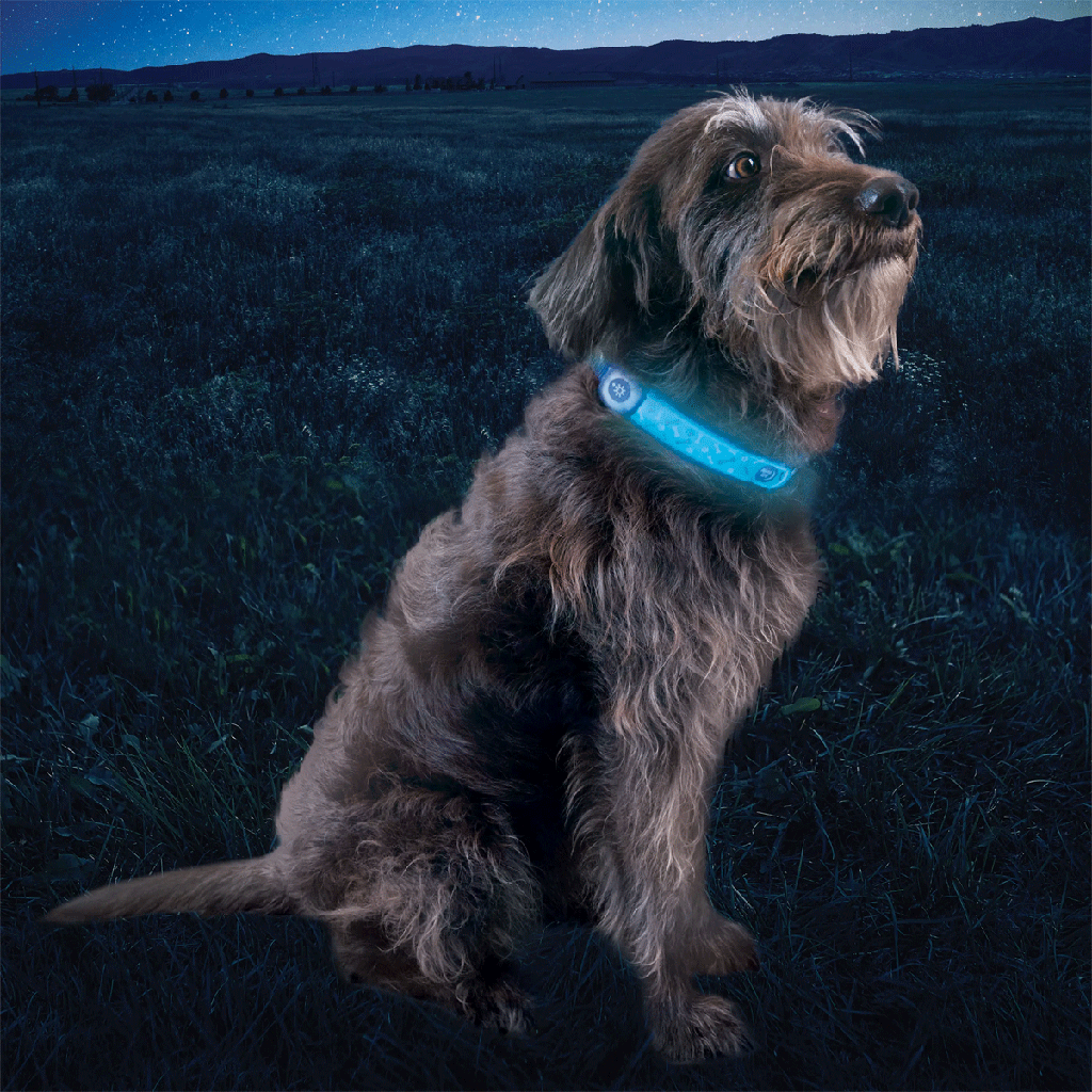 NITE IZE NiteDog Rechargeable LED Collar Cover Disc-O Select