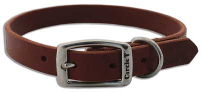 COASTAL Latigo Town Collar - 3/4 x 18