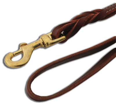 COASTAL Latigo Twisted Lead - 6ft x 3/4in