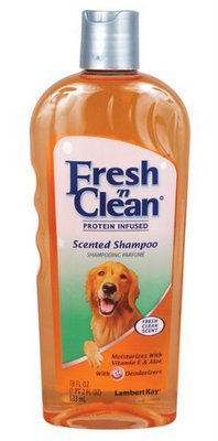 LAMBERT KAY Fresh'n Clean Shampoo 18oz