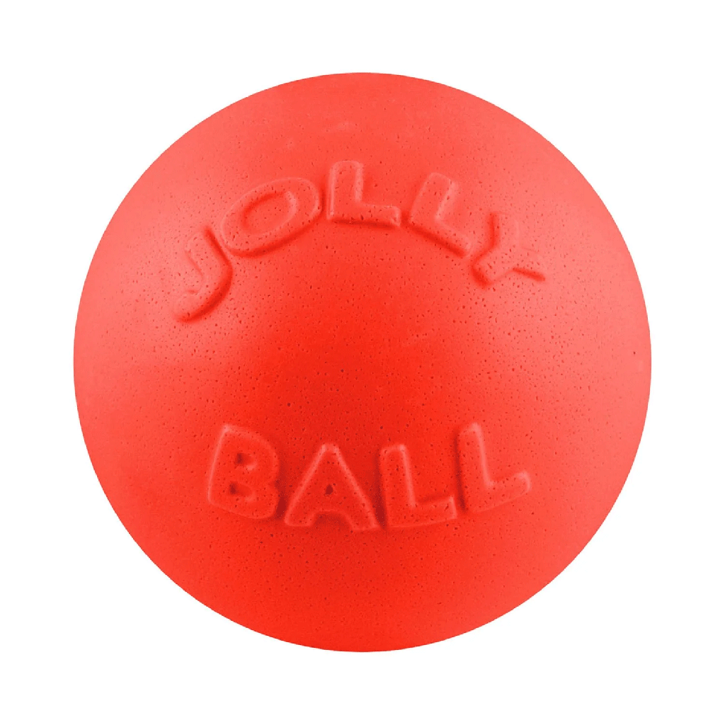 JOLLYPET Bounce-n-Play 4.5inch Orange