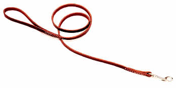 COASTAL Circle-T Latigo Lead - 4ft x 3/8in