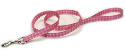 PET ATTIRE Lead - 6' x 1 - Pink Dots