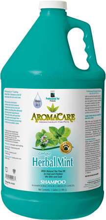 PPP AromaCare Cooling Herbal Mint Shampoo Gallon