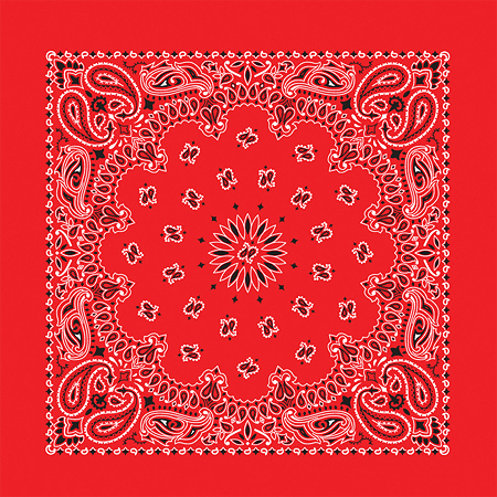 BANDANNA Paisley Red