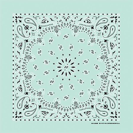 BANDANNA Paisley Mint