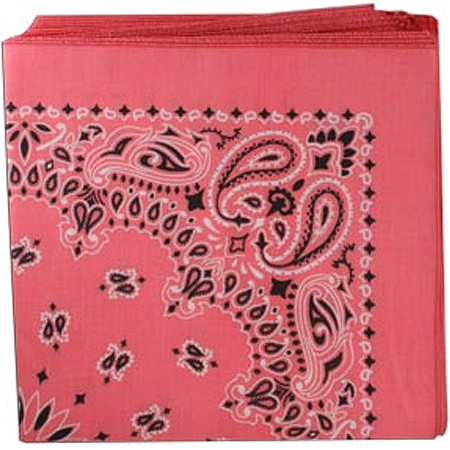 BANDANNA Paisley Strawberry