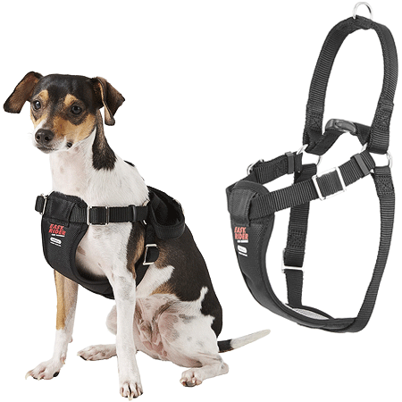 COASTAL Easy Rider Car Harness - S - Black