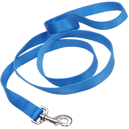 COASTAL Tuff 6' Lead 1in - Blue Lagoon