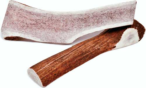 *NEWT'S CHEWS Sliced Elk Antler L