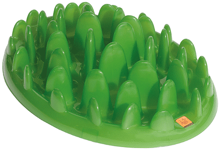 COMPANY OF ANIMALS Green Slow Feeder Dog Bowl