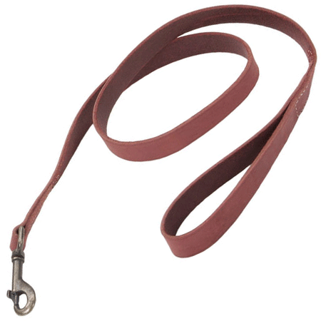 COASTAL Rustic Leather Leash - 5/8 In x 4' - Brick Red