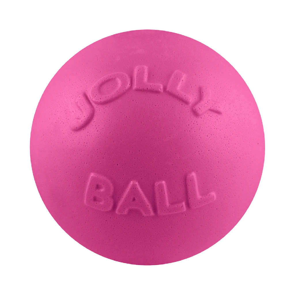 JOLLYPET Bounce-n-Play 8inch Pink