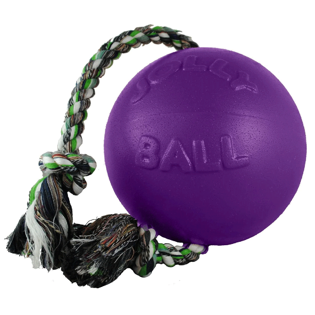 JOLLYPET Romp-n-Roll L 8" Purple