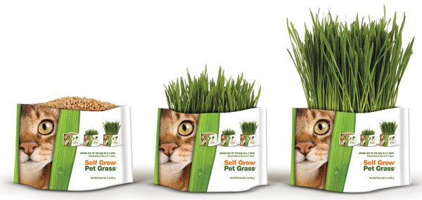 PET GREENS Garden Wheat Grass 88g