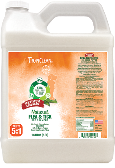 TROPICLEAN Natural Flea & Tick Shampoo Maximum Strength - Gallon