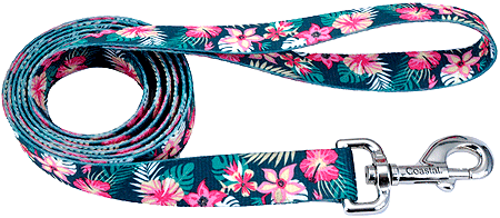 [CA364 TRP FLW] *PET ATTIRE Styles Dog Leash 3/8 x 4ft Tropical Flower