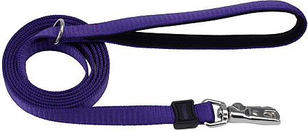 [CA15966 PURPLE] COASTAL Inspire Leash 1" x 6' Purple