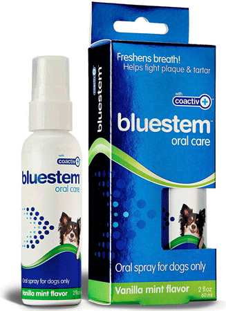 [BOC21709] *BLUESTEM Oral Spray Vanilla Mint 2oz