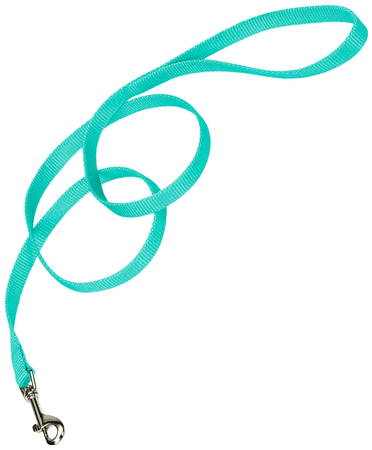 [CA406 TEAL] COASTAL Nylon Lead 6' x 5/8in Teal