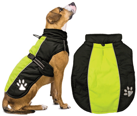 [FP70288 S] *FASHION PET Sporty Jacket Black/Green S