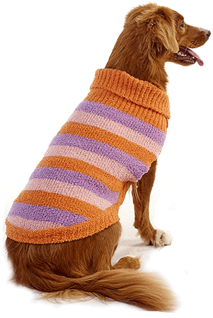 [FP60180 S] *FASHION PET Lookin' Good Stripe Sweater Orange S