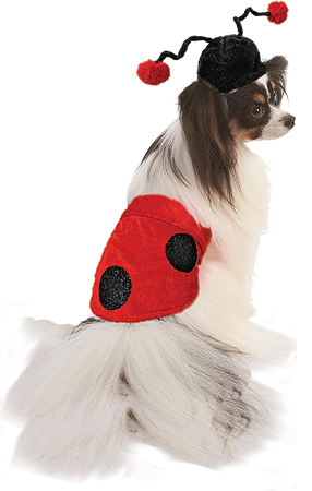 [FPH10512 XL] *FASHION PET Halloween Costume Ladybug XL