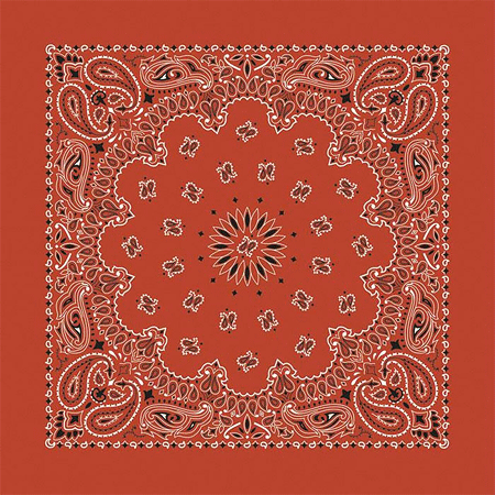 [BAN014] BANDANNA Paisley Terracotta 12pk