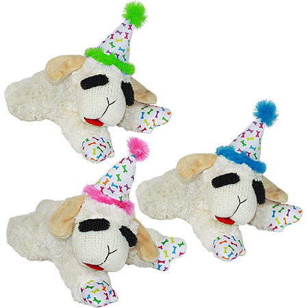 [MP48706] MULTIPET Lamb Chop with Birthday Hat 10.5in