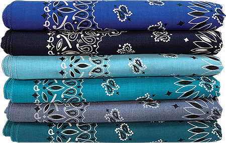 [BAN297] BANDANNA Paisley Asst Ocean