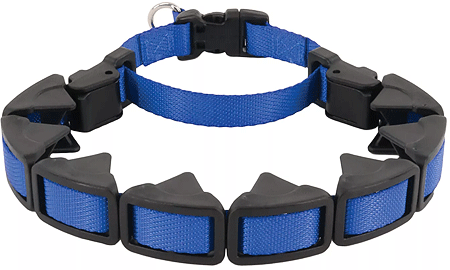 [CA5597-22 BLUE] *COASTAL Natural Control Training Collar Large Blue