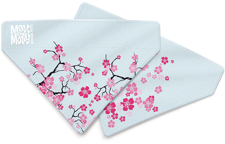 [MAX05950] *MAX&MOLLY Bandana Cherry Bloom M/L