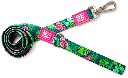 [MAX02504] MAX&MOLLY Classic Neoprene Leash Tropical XS 3/8" x 4ft