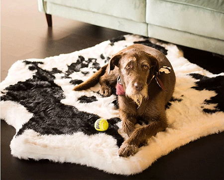 [PUP91031] *PAW PupRug Animal Print Memory Foam Dog Bed Black Faux Cowhide Original