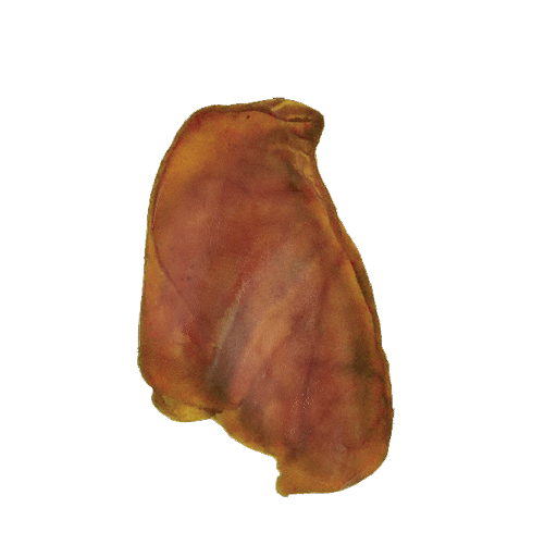 [JNC00134] JONES Pig Ears Jumbo 20ct