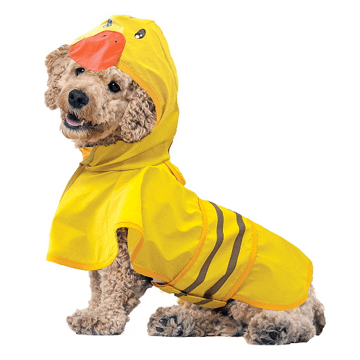 [FP30038 S] *FASHION PET Just Ducky Raincoat S