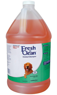 [LK21566] LAMBERT KAY Fresh'n Clean Shampoo Gallon